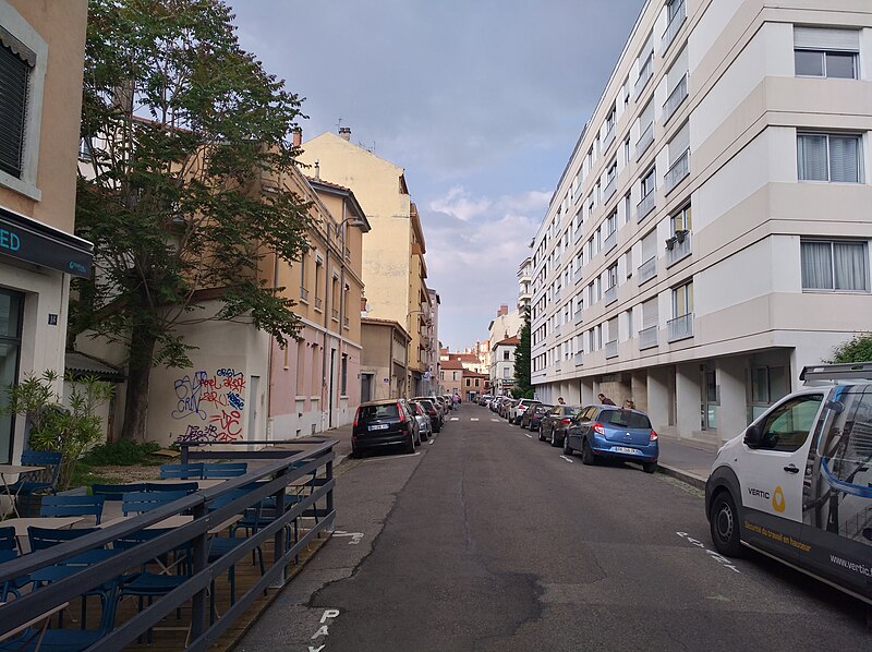 File:Lyon 7e - Rue Élie Rochette direction nord (mai 2019).jpg