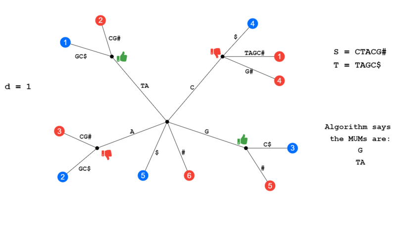 IBU identifikasi menggunakan suffix tree