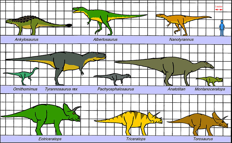 File:Maastrichtian American dino size 02.jpg