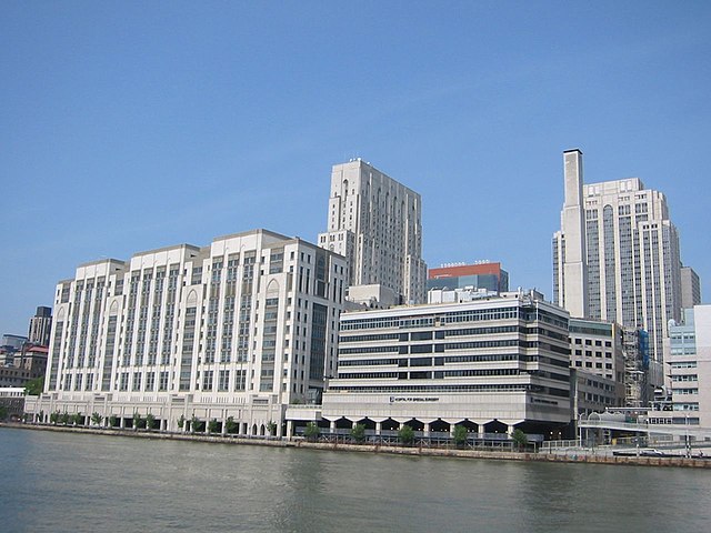 Weill Cornell Medical Center (left) and the Hospital for Special Surgery (right), 2006