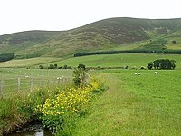 Manor Valley - geograph.org.uk - 199708.jpg