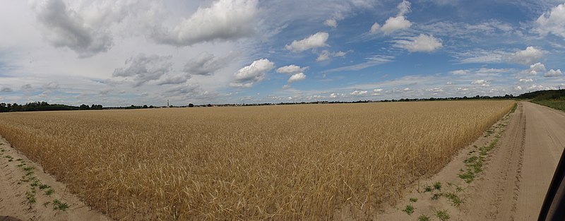 File:Międzyrzecz, Polen - panoramio.jpg