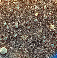 This color-enhanced image shows spherical granules. Mib color1 rgbstretch-B011R1 br.jpg