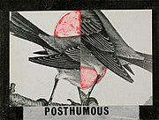 Posthumous‏, 1983 אקריליק וקולאז' על בד מודבק על עץ