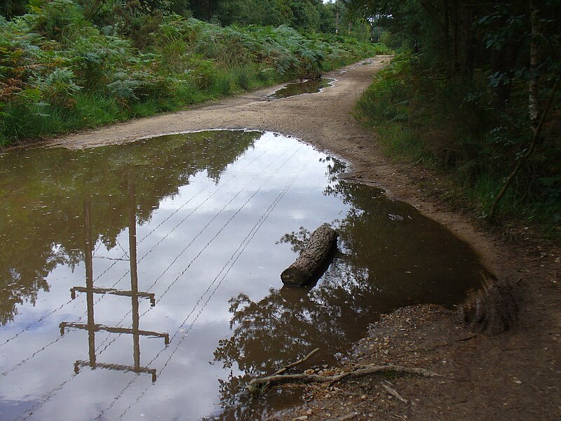 File:Mind the Puddle^ - geograph.org.uk - 2577511.jpg