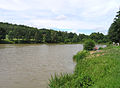 Čeština: Božkovský rybník na Kunickém potoce na západě Božkova, části Mnichovic English: Božkovský pond in Božkov Mnichovice, Czech Republic