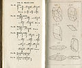 Mohs mineralogy vol 2 plate 17