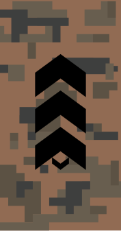 File:Mongolian Army-SSG-field.svg