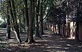 * Nomination: View of the Parc des Franciscaines, in Mons-en-Barœul, France --Velvet 07:00, 26 August 2022 (UTC) * * Review needed