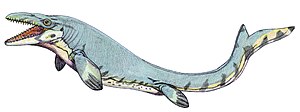 Live reconstruction of Mosasaurus beaugei