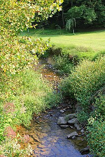 Mouse Creek (Schwaben Creek tributary) creek in Northumberland County, Pennsylvania, US