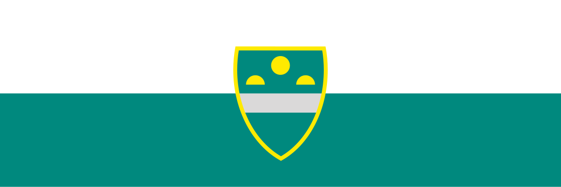 File:Murska Sobota flag.svg