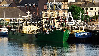 Mussel dregders at Bangor - geograph.org.uk - 2404121.jpg