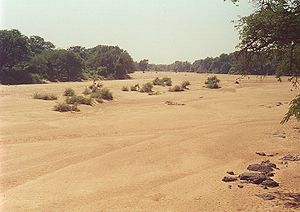 View upstream from the bridge on main Masvingo - Beitbridge road, near Rutenga. Mwenezi at Mwenezi centre.jpg