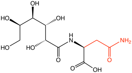N-(D-glucos-1-yl)-L-asparagine, precursor to acrylamide in cooked food.[8]