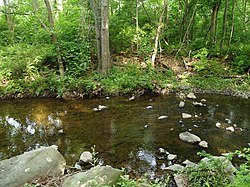 Naamans Sungai yang mengalir melalui hutan pada Hutan yang Belum Kruse Park