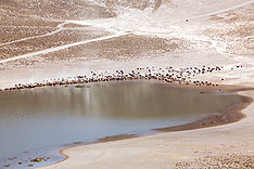 Volcán Nemrut14.jpg