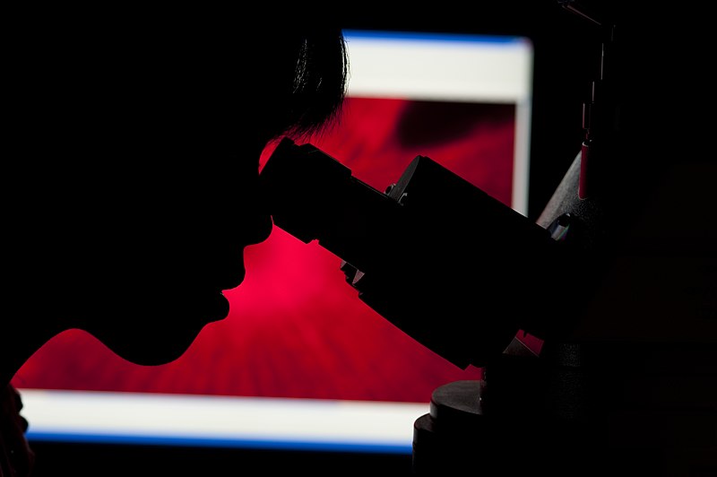 File:Observing through a Microscope (9955277825).jpg