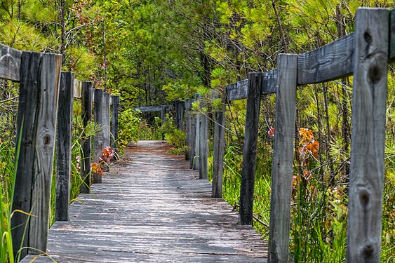 Foot bridge over a pond