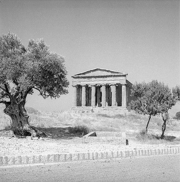 File:Olivträd och grekiskt tempel i Paestum SLSA 1150 foto 2165.jpg