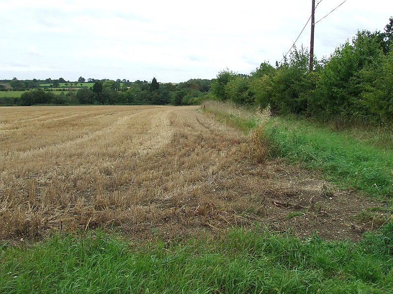 File:Open Fields - geograph.org.uk - 2595586.jpg