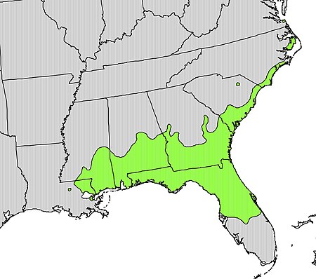 Osmanthus americanus range map.jpg