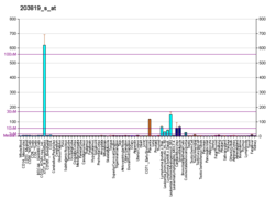 PBB GE IGF2BP3 203819 s fs.png'de