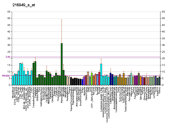 PBB GE PKD1 216949 s bei fs.png