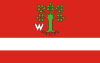 POL gmina Lipie flag.svg