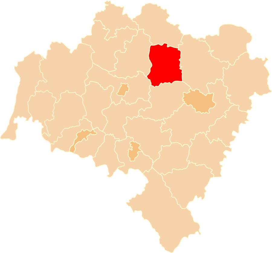 Wołów County