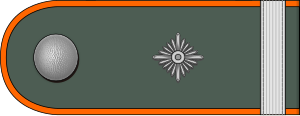 PSP-Gruppenführer h.svg