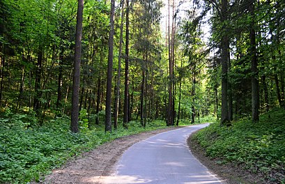 Kaip pateikti į Panerių Miškas viešuoju transportu - Apie vietovę