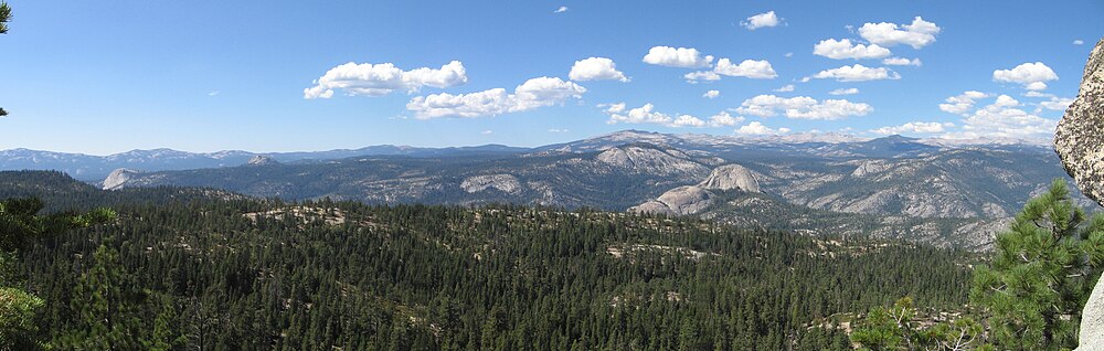 Panorama of Sierra National Forest by Ansel Adams