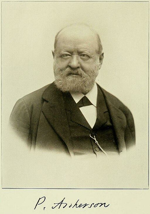 Paul Ascherson (Verhandlungen des Botanischen Vereins der Provinz Brandenburg, Jg. 55, 1913)