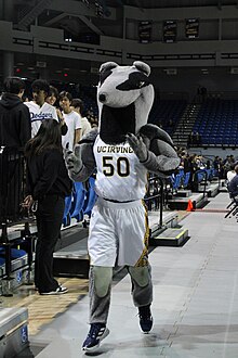 Full body photo of Peter the Anteater