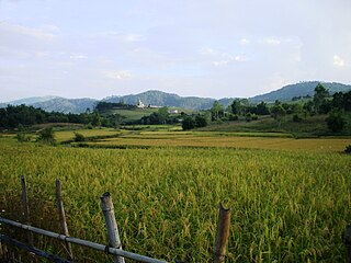 <span class="mw-page-title-main">Xiangkhouang</span> Province of Laos