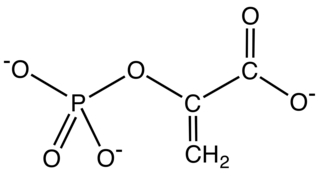 Phosphoenolpyruvic acid chemical compound