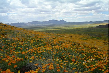 Ecosystem management decisions for the Malpai Borderlands were determined through active participation of diverse stakeholder groups. Photo Credit- Warner Glenn MalpaiBorderlands updated (22978607051).jpg