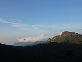 Pico da Neblina - Amazonas - Brasil.JPG