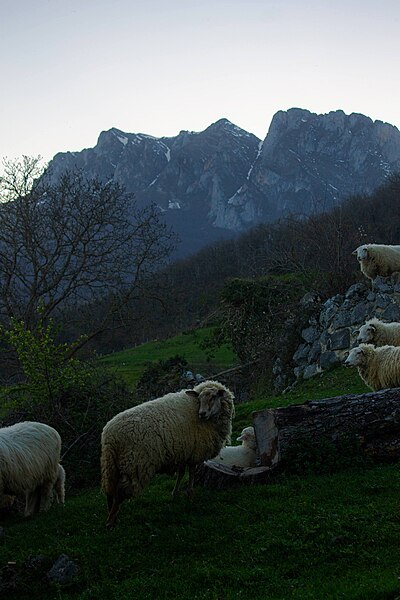 File:Picos de Europa.jpg