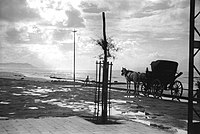 Tel Aviv, 1920–1930