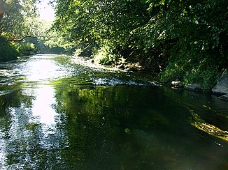 Die Pissa bei Seljony Bor (Karalene/Luisenberg) unweit Tschernjachowsk