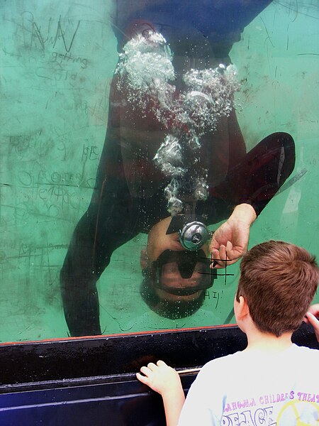 File:Playing Tic-Tac-Toe underwater.jpg