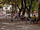 "Pinto" square