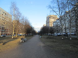 Вид в сторону Коломяжского проспекта