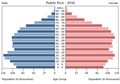 English: The population pyramid of Puerto Rico illustrates the age and sex structure of population and may provide insights about political and social stability, as well as economic development. The population is distributed along the horizontal axis, with males shown on the left and females on the right. The male and female populations are broken down into 5-year age groups represented as horizontal bars along the vertical axis, with the youngest age groups at the bottom and the oldest at the top. The shape of the population pyramid gradually evolves over time based on fertility, mortality, and international migration trends. Українська: Віково-статева піраміда населення Пуерто-Рико за 2016 рік. Вона дає наочне уявлення про вікову і статеву структура населення країни, може слугувати джерелом інформації про політичну і соціальну стабільність, економічний розвиток. Блакитними кольорами ліворуч, у вигляді горизонтальних смуг показані вікові групи (з кроком 5 років кожна) чоловічої статі, праворуч рожевими — жіночої. Наймолодші вікові групи — внизу, найстаріші — вгорі. Форма піраміди поступово еволюціонує з плином часу під впливом чинників народжуваності, смертності і світової міграції.