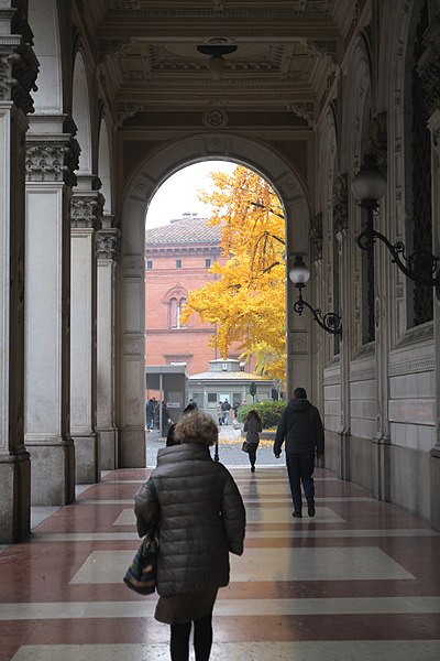 File:Portico di Via Farini in Autunno.jpg