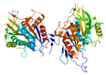 Thumbnail for Centromere protein E