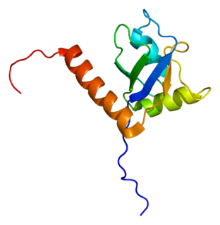 <span class="mw-page-title-main">Sjögren syndrome antigen B</span>