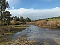 Miniatura para Río Grande (afluente del Guadalhorce)